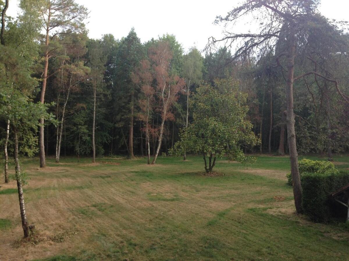 Lodge De Loire - B & B Proche Chambord Saint-Laurent-Nouan Екстериор снимка